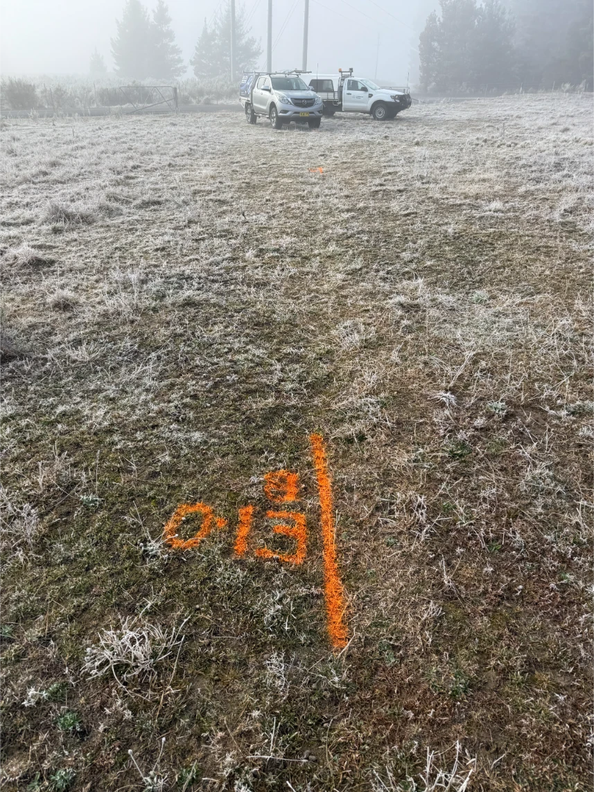 Oranged Colored Marking on the Green Land
