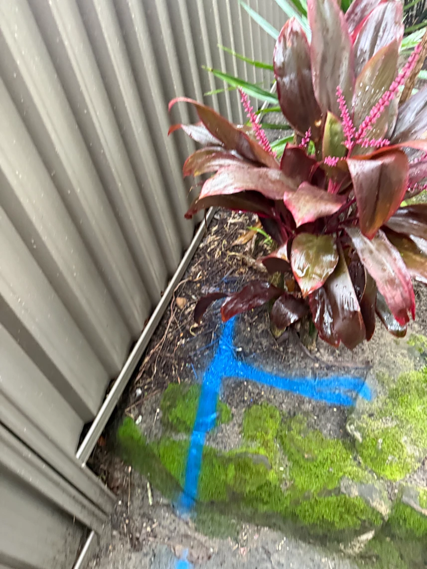 Blue Colored Marking